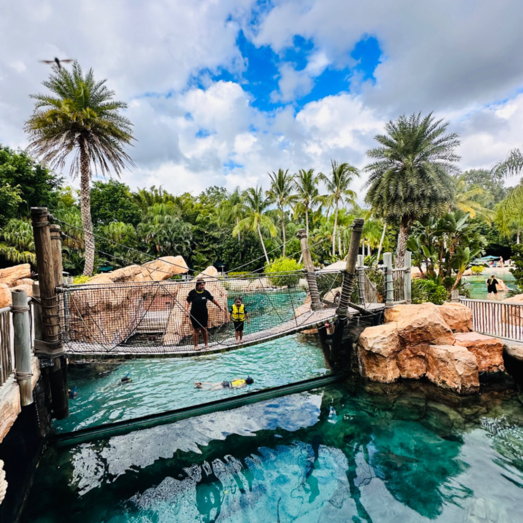 Un día en Discovery Cove, el parque en formato todo incluido en Orlando